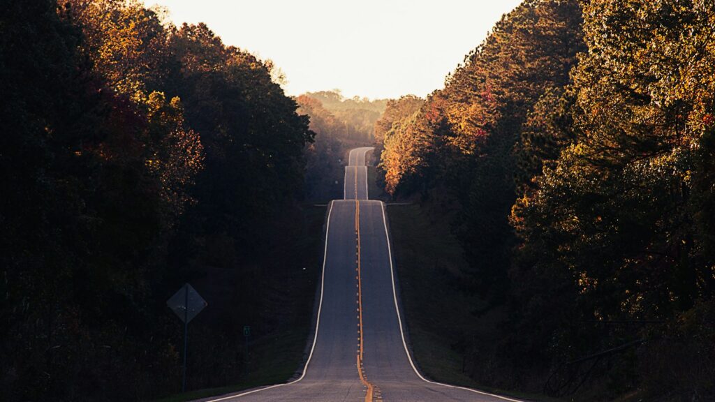 Asphalt road between trees
