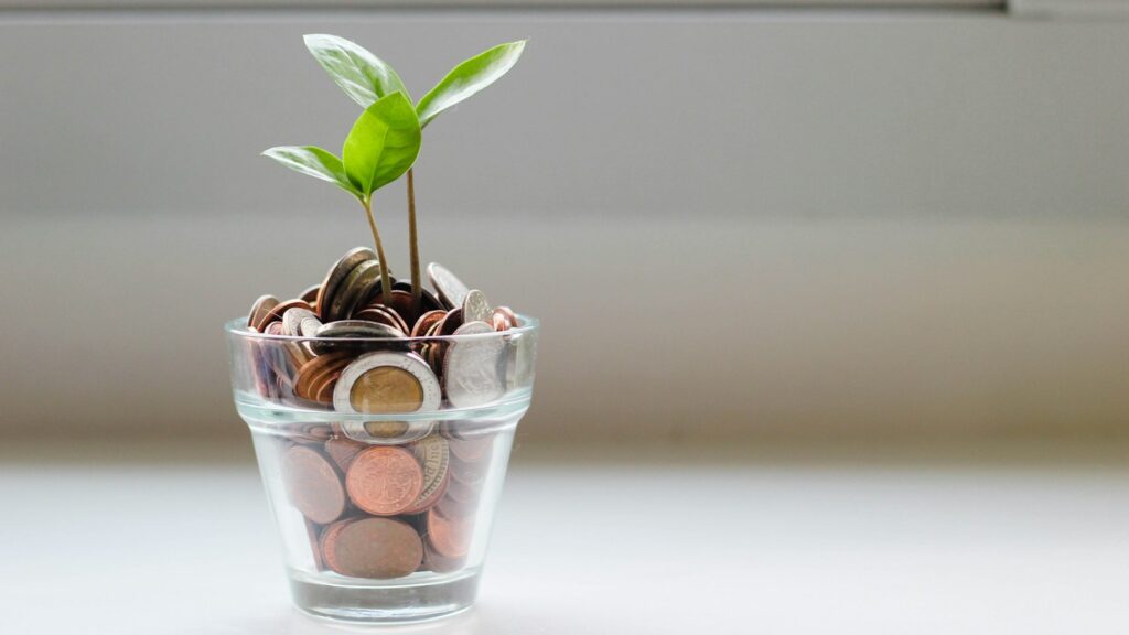 Green plant in clear glass cup